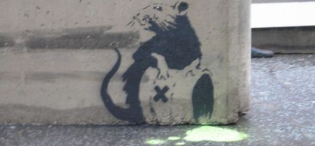 Rat Poison
